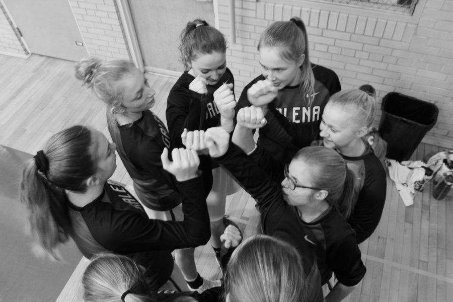 “Pirates on three...1...2...3...Pirates!” Corrina Noble ‘21, Maggie Furlong ‘22, Gracie Wubben ‘20, Sami Wasmund ‘20, Alexa Haase ‘20, and Anna Walburg ‘19 get go over their game plan before getting ready to run out for warm ups. The Pirates prepare like this before every game. “Having our team talks before each game get me really pumped to play,” said point guard, Maggie Furlong. 