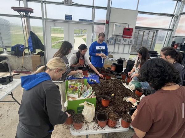 Past and present members of GHS Plant Club working together to get plants ready for a sale.